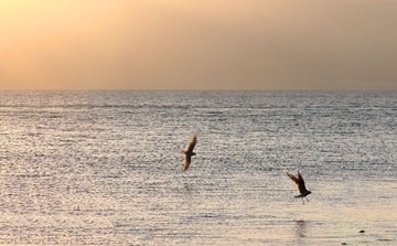 IMG_8747fbx