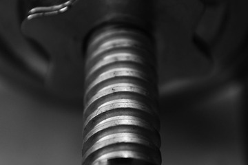 IMG_6970xx