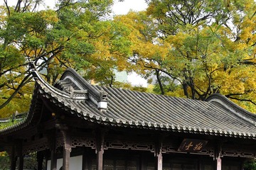 IMG_6987xx