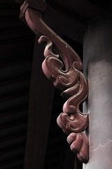 IMG_7024xx