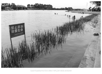 禁止游泳