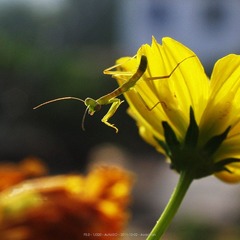 pro20111002 025.jpg