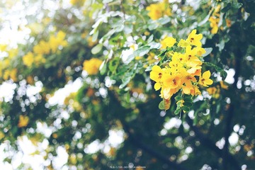 11090811-2_副本.jpg