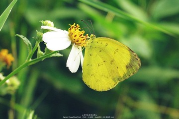 pro2011.11.20 067_副本.jpg