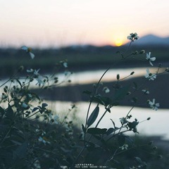 12101115_副本.jpg