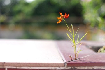 05242664-2.jpg