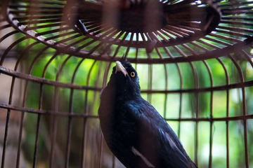 20120627-P1030379.jpg