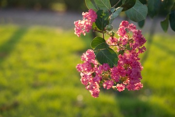 20120628-P1030452.jpg