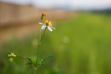 20120628-P1030473.jpg