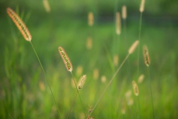 20120628-P1030479.jpg