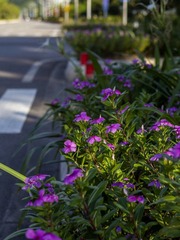 P1030540 副本.JPG