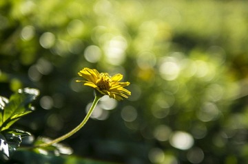 P1030565 副本.jpg