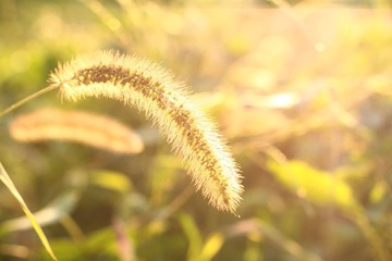 IMG_0349.jpg