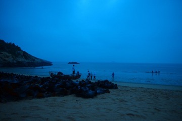 海带群，