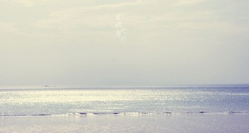 清晨，
