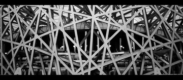 鸟巢脉络－平行线