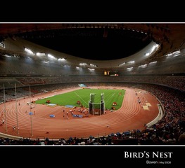 Bird's Nest