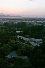 什么楼来着