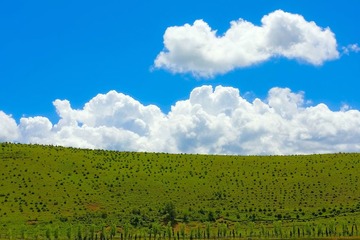天空和草坪