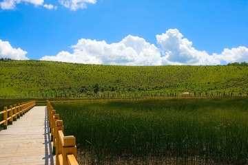 天空，走廊，草坪