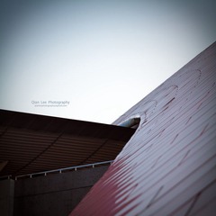 IMG_1363.jpg