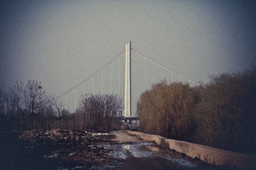 IMG_1762.jpg