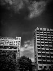 29092010098.jpg
