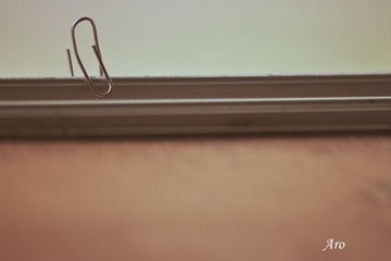 IMG_2397.jpg