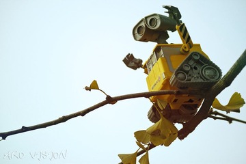 IMG_1060.jpg