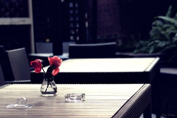 IMG_1766.jpg
