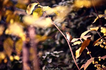 IMG_0182.JPG