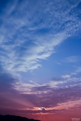 IMG_7960 副本.jpg