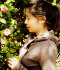 茶花hh.jpg