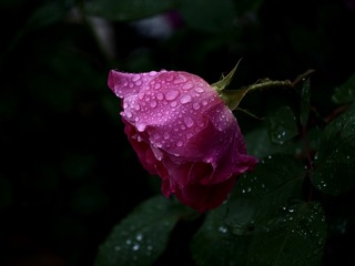F3FD4C85-24C0-4894-9D40-FAF49270E3FC/L0/001