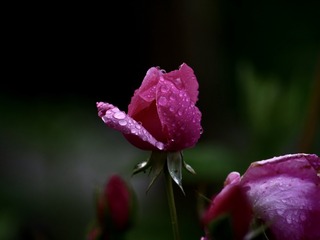 6337B807-512B-4A68-979C-85CAE6D1E1E0/L0/001