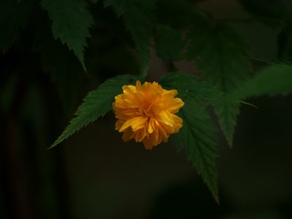 DF5089BC-F2AA-4881-9E0E-3618143FF020/L0/001