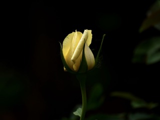 5B935A3D-7C1C-485C-8A54-28C687327EF9/L0/001