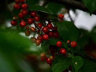 534677B4-5AEA-4F7D-BFCF-29E84CE5A481/L0/001