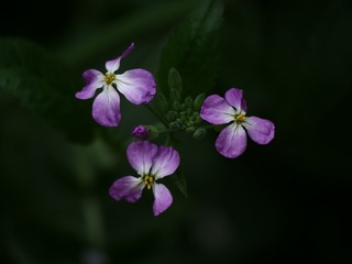 1FA279F8-C0CC-48F0-90A6-77C6B74E3669/L0/001