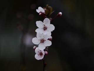 6F2BB8E8-EB03-45F3-A359-408E16A736CF/L0/001