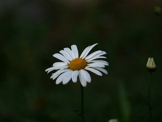 456BDCBE-6996-4662-8C1C-5C0AB7DDEF6F/L0/001