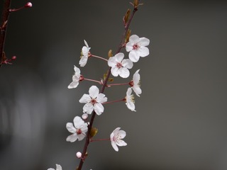 1A86EC3A-F516-4CAD-A3C9-6AEB66BDE5BB/L0/001
