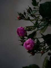 605CB3A7-1008-4FC1-B34A-42A1E1D570D5/L0/001