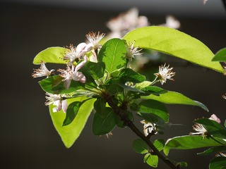 5C5D6640-3F86-4BDF-B46F-C31812327837/L0/001