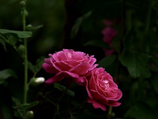07AC1219-3043-43FE-942B-7F6BBB2E52F4/L0/001