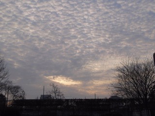 空洞