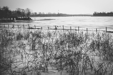 IMG_1704-2.jpg