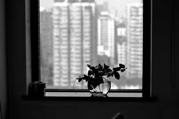 IMG_2077.jpg