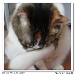 洗脸