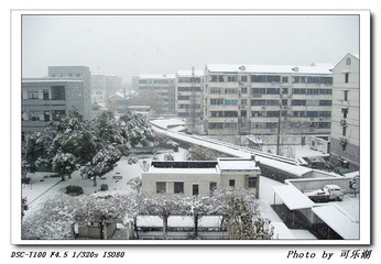 六楼看雪